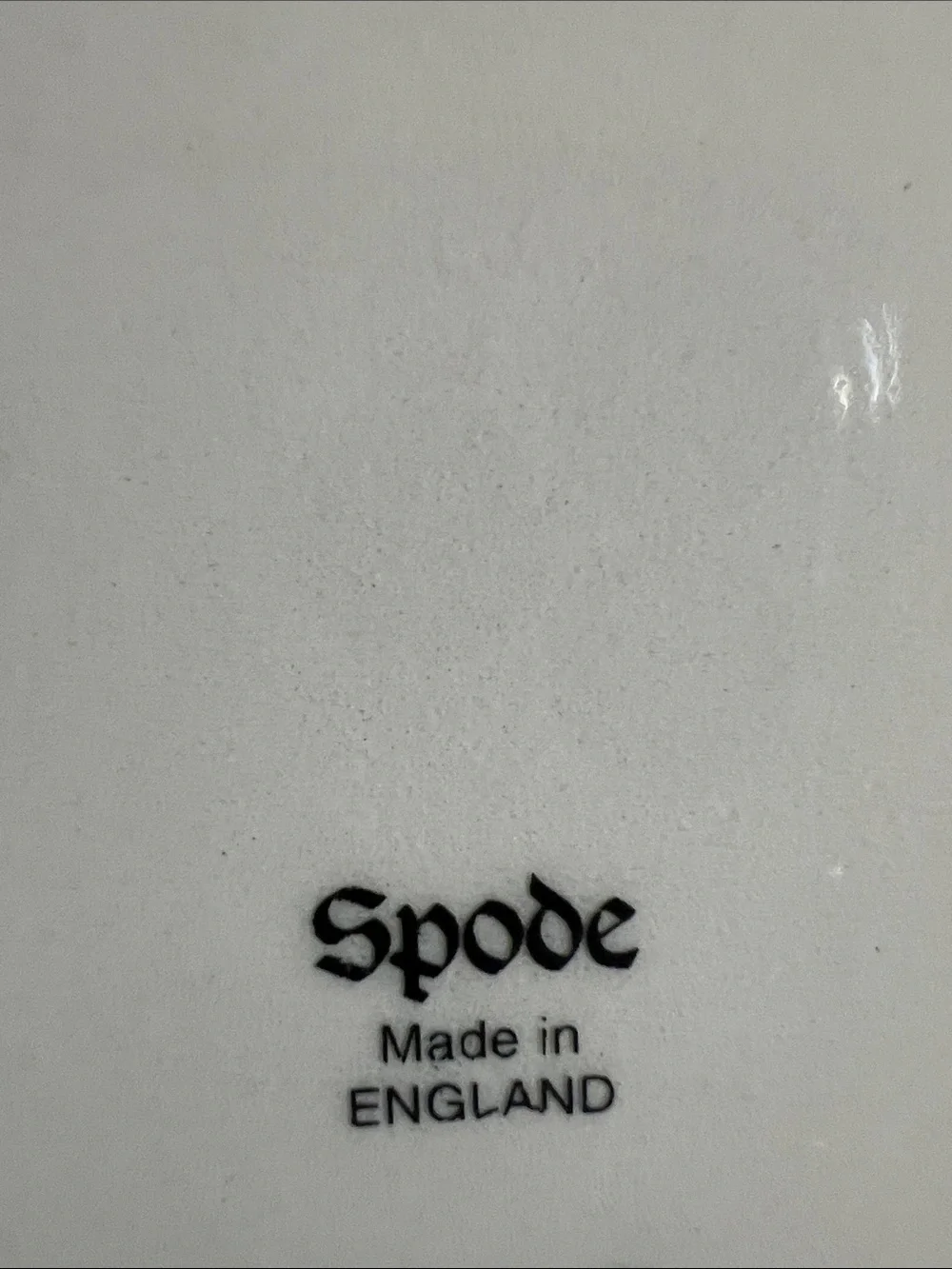 Spode Christmas Tree Grove Serving Platter.